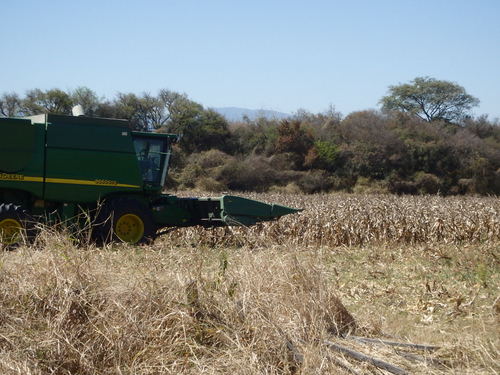 It is Sugar Cane and a harvester, we waved.